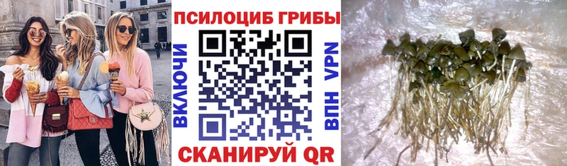 Галлюциногенные грибы Magic Shrooms  закладки  Усолье-Сибирское 