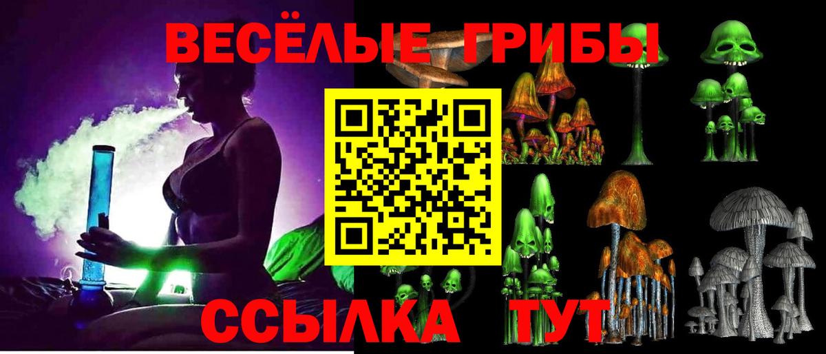 Псилоцибиновые грибы Psilocybe  Галлюциногенные грибы GOLDEN TEACHER  Усолье-Сибирское  Вход с VPN 